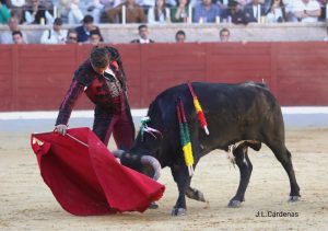 Definida la gran final del Alfarero de Plata