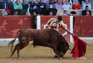 Definida la gran final del Alfarero de Plata
