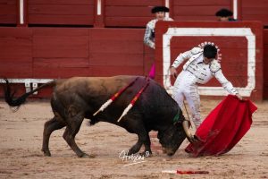 Entrega total de los dos novilleros en Toledo