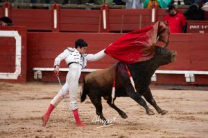 Entrega total de los dos novilleros en Toledo