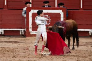 Entrega total de los dos novilleros en Toledo