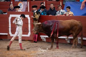 Entrega total de los dos novilleros en Toledo