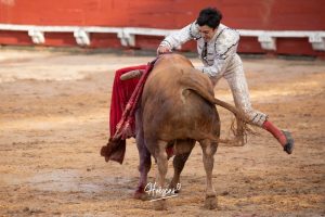 Entrega total de los dos novilleros en Toledo