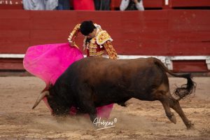 Entrega total de los dos novilleros en Toledo