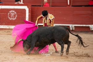 Entrega total de los dos novilleros en Toledo