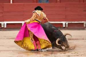 Entrega total de los dos novilleros en Toledo