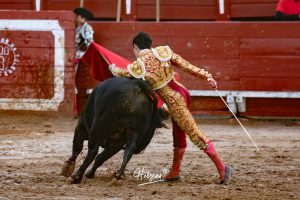 Entrega total de los dos novilleros en Toledo