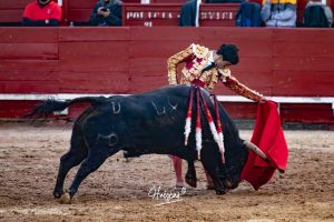 Entrega total de los dos novilleros en Toledo