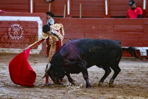 Entrega total de los dos novilleros en Toledo