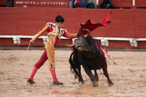 Entrega total de los dos novilleros en Toledo