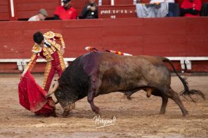 Entrega total de los novilleros en Toledo
