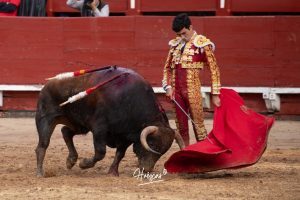 Entrega total de los dos novilleros en Toledo