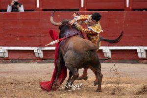 Entrega total de los dos novilleros en Toledo