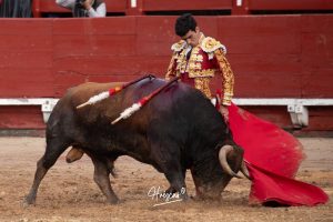 Entrega total de los dos novilleros en Toledo