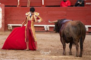 Entrega total de los dos novilleros en Toledo