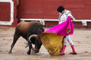 Entrega total de los dos novilleros en Toledo