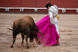 Entrega total de los dos novilleros en Toledo