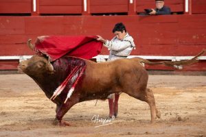 Entrega total de los dos novilleros en Toledo