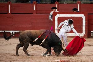 Entrega total de los dos novilleros en Toledo