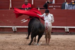 Entrega total de los dos novilleros en Toledo