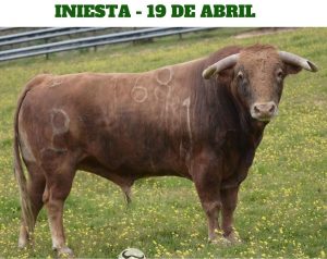 Los toros de Alcurrucén para la corrida de Iniesta