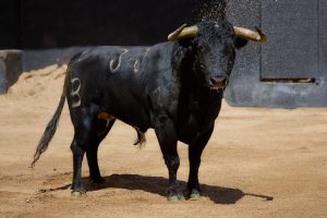 Orden de lidia de los toros de Fermín Bohórquez para Sevilla