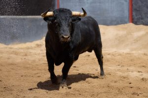Orden de lidia de los toros de Fermín Bohórquez para Sevilla