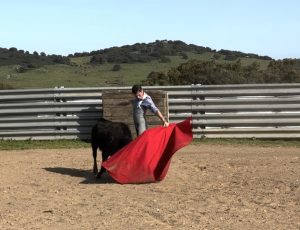 José María Trigueros vuelve a torear tras superar su lesión