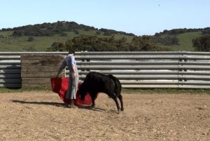 José María Trigueros vuelve a torear tras superar su lesión