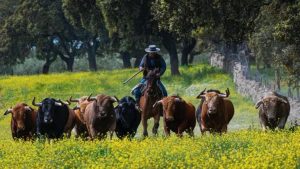La RUCTL cumple 120 años de historia