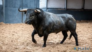 Seis astados de Valdellán para la cita de hoy en Las Ventas