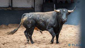Seis astados de Valdellán para la cita de hoy en Las Ventas