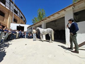 Diego Ventura, exhibición de su cuadra en Lorca