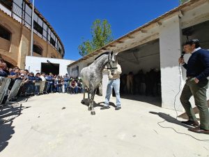 Diego Ventura, exhibición de su cuadra en Lorca