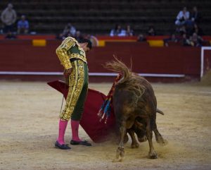 Vuelta al ruedo para Nacho Torrejón en Valencia