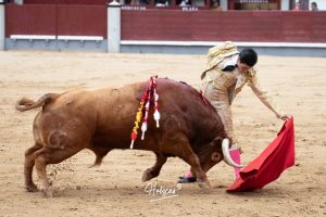 Oreja y vuelta al ruedo para Álvaro Lorenzo en Madrid