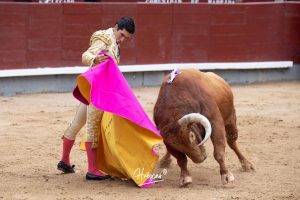 Oreja y vuelta al ruedo para Álvaro Lorenzo en Madrid