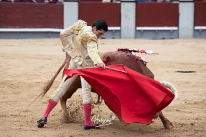 Oreja y vuelta al ruedo para Álvaro Lorenzo en Madrid
