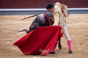 Oreja y vuelta al ruedo para Álvaro Lorenzo en Madrid