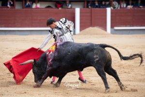 Oreja y vuelta al ruedo para Álvaro Lorenzo en Madrid