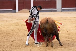 Oreja y vuelta al ruedo para Álvaro Lorenzo en Madrid