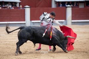 Oreja y vuelta al ruedo para Álvaro Lorenzo en Madrid