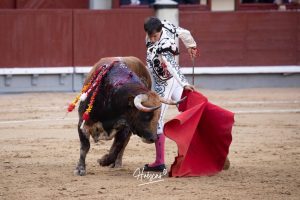 Oreja y vuelta al ruedo para Álvaro Lorenzo en Madrid