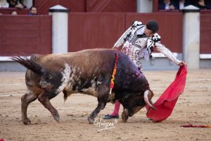Oreja y vuelta al ruedo para Álvaro Lorenzo en Madrid