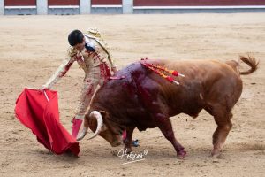 Oreja y vuelta al ruedo para Álvaro Lorenzo en Madrid