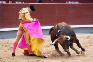 Vuelta al ruedo para Cid de María en su presentación en Madrid