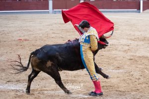 Vuelta al ruedo para Cid de María en su presentación en Madrid