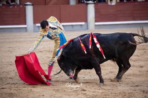 Vuelta al ruedo pata Cid de María en su presentación en Madrid
