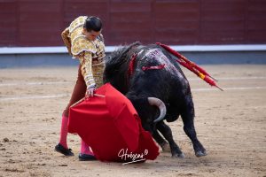 Vuelta al ruedo para Cid de María en su presentación en Madrid