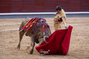 Vuelta al ruedo para Cid de María en su presentación en Madrid